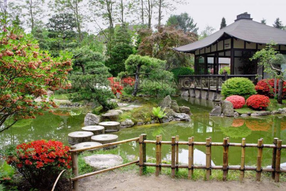 Teehaus im Japanischen Bonsaigarten , Foto: Japanischer Bonsaigarten